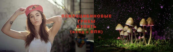 2c-b Балабаново