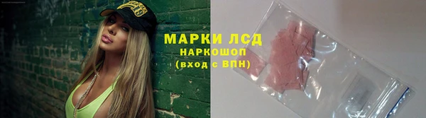ГАЛЛЮЦИНОГЕННЫЕ ГРИБЫ Баксан