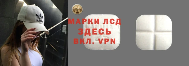 ГАЛЛЮЦИНОГЕННЫЕ ГРИБЫ Баксан