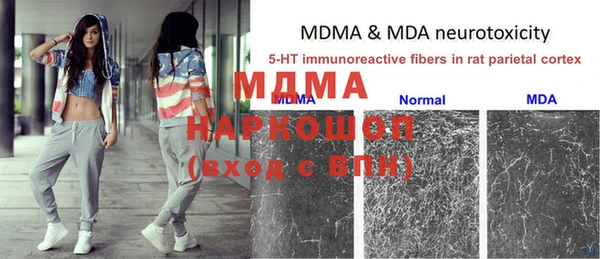 ГАЛЛЮЦИНОГЕННЫЕ ГРИБЫ Баксан