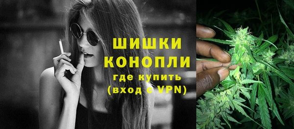 ГАЛЛЮЦИНОГЕННЫЕ ГРИБЫ Баксан