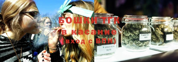 ГАЛЛЮЦИНОГЕННЫЕ ГРИБЫ Баксан