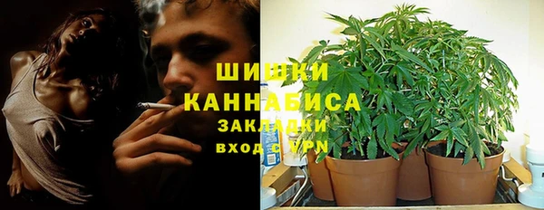 ГАЛЛЮЦИНОГЕННЫЕ ГРИБЫ Баксан