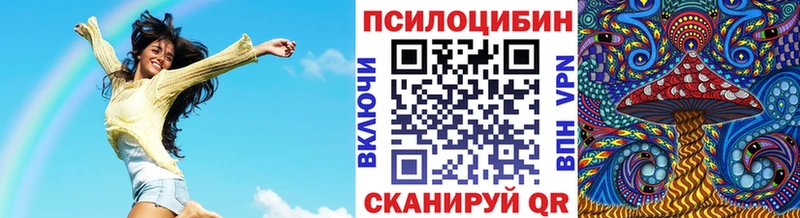 купить  сайты  Отрадная  Псилоцибиновые грибы прущие грибы 